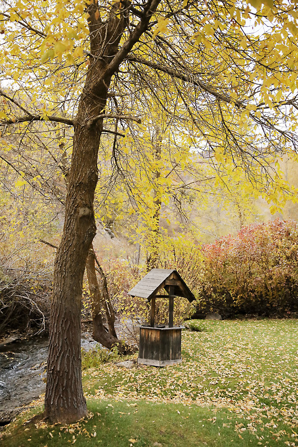 the-ultimate-fall-wedding