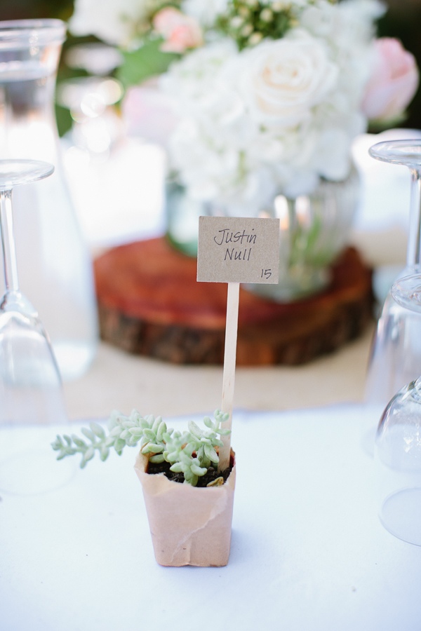 fun-loving-backyard-wedding