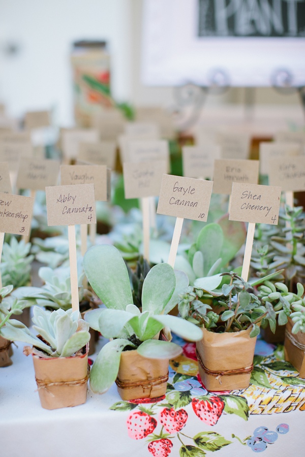 fun-loving-backyard-wedding