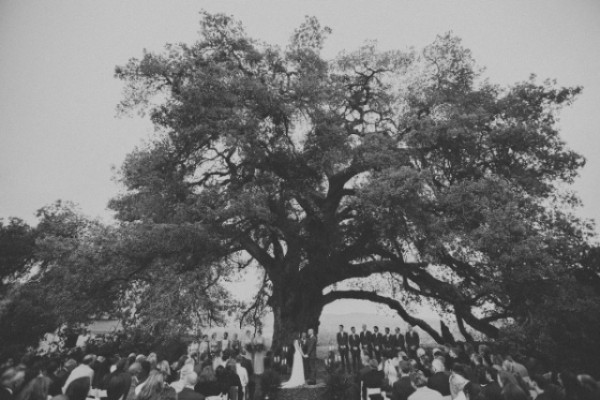 relaxing-and-rainy-california-wedding