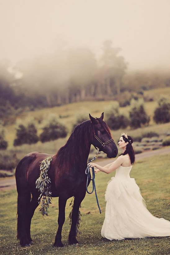 bridal portrait with a horse @weddingchicks