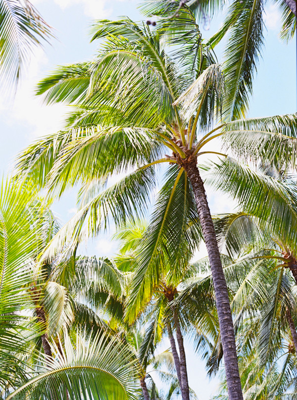 a-wedding-in-paradise