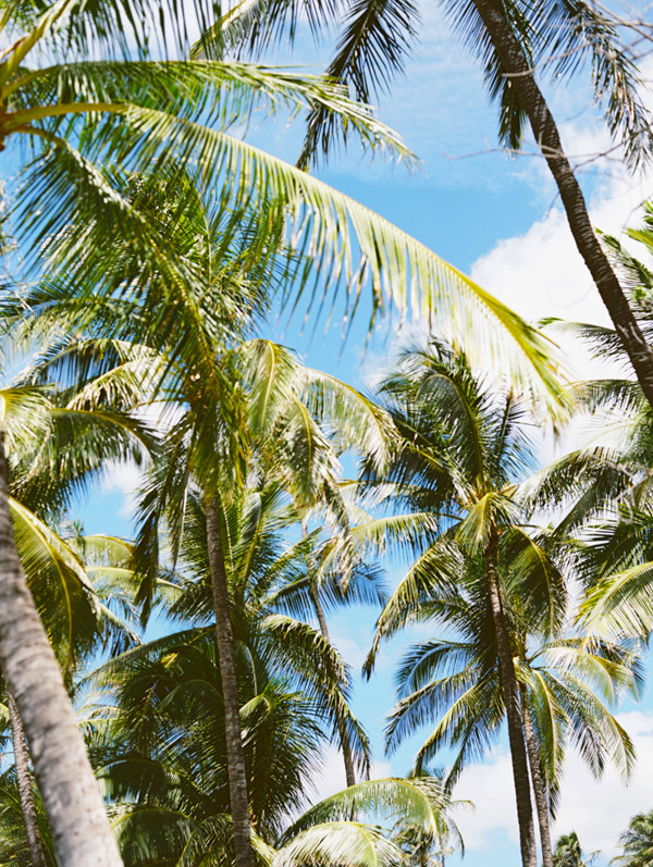 a-wedding-in-paradise