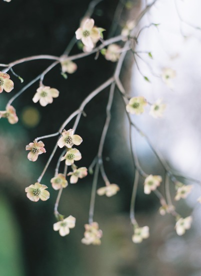 cloudy-but-cute-rustic-wedding