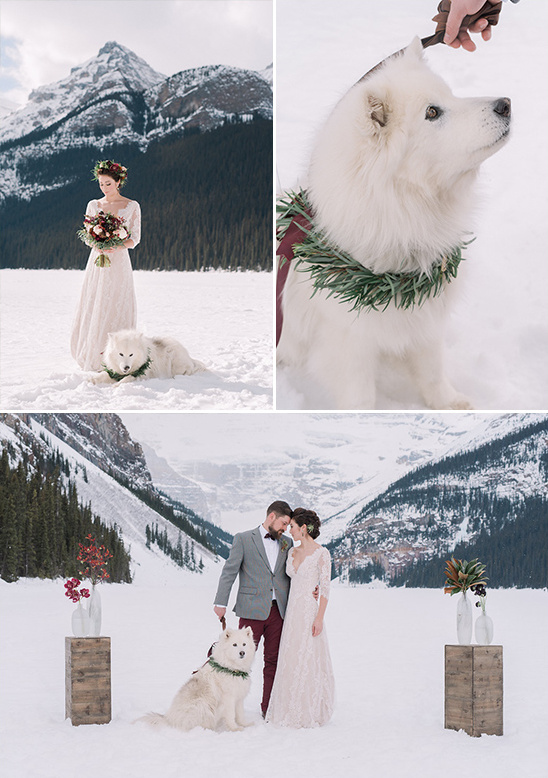 Bride and groom with dog in snowy mountain wedding setting
