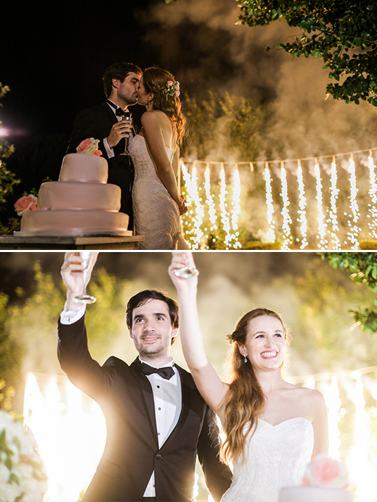 Couple kisses at wedding reception, raising a toast after the cake cut