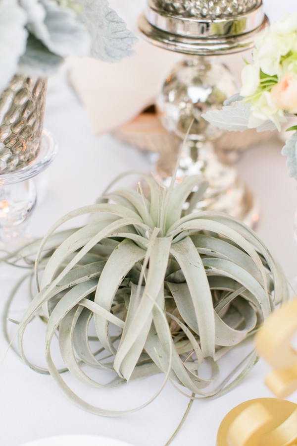 glamorous-peach-rose-wedding