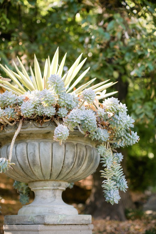 glamorous-peach-rose-wedding