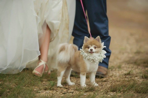 glitter-and-glam-barn-wedding