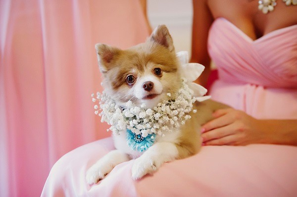 glitter-and-glam-barn-wedding