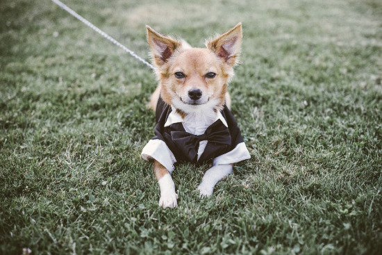 lovely-laid-back-wedding