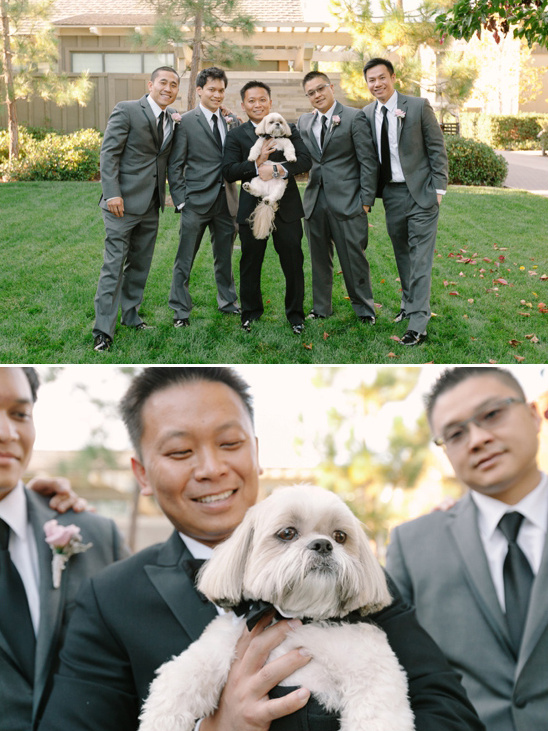 grey and black groomsmen and wedding dog @weddingchicks