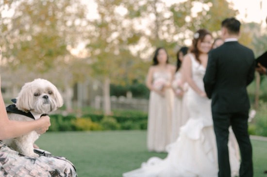 modern-sparkle-wedding