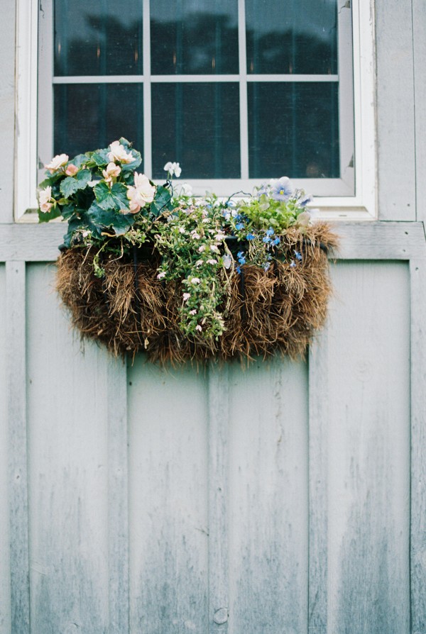 naturalistic-puppy-love-wedding