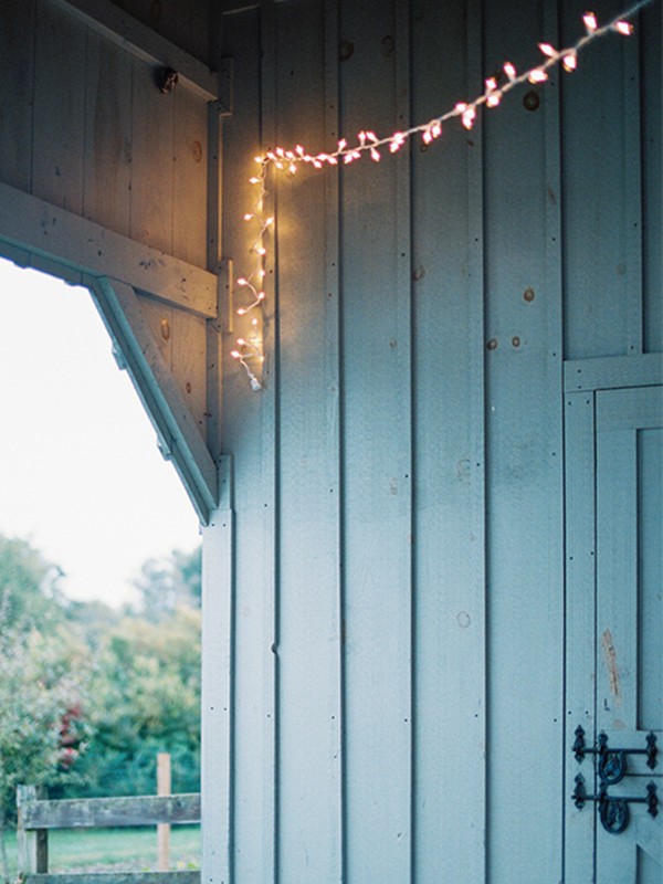 naturalistic-puppy-love-wedding