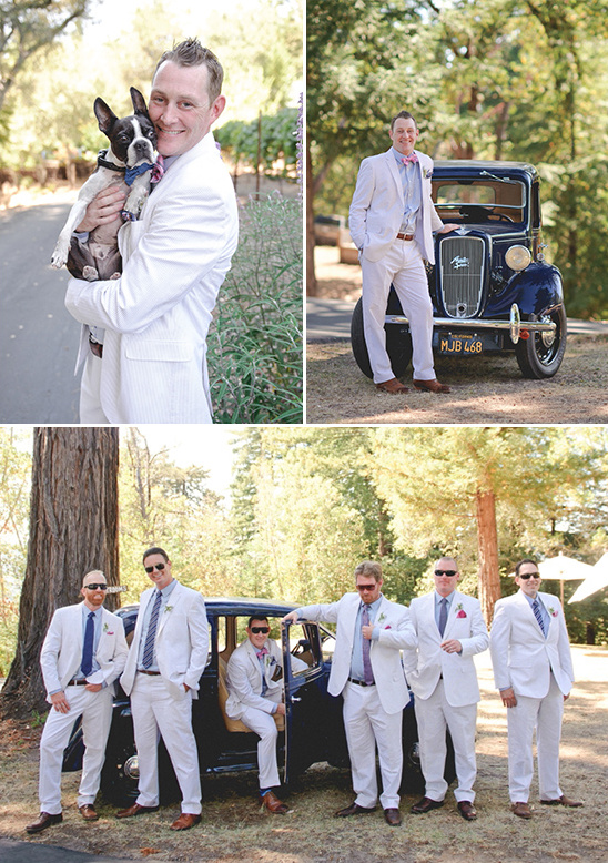 wedding dog and searsucker groomsmen suits @weddingchicks