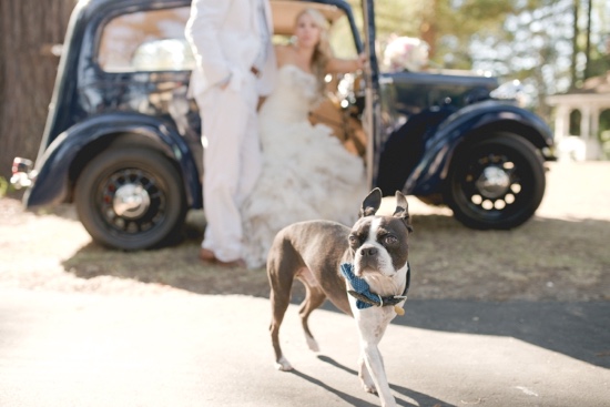ruffles-and-roses-wedding