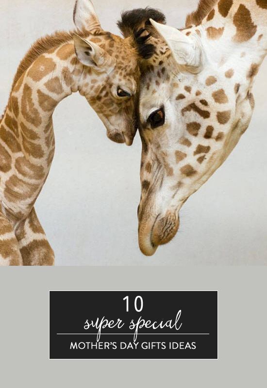 10-mothers-day-gift-ideas-she-will-love