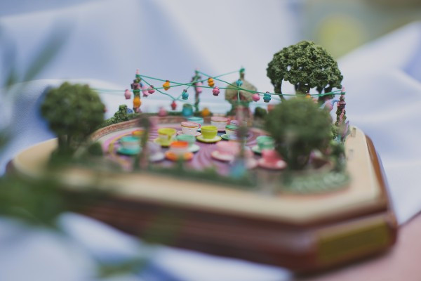 alice-goes-to-disneyland-wedding