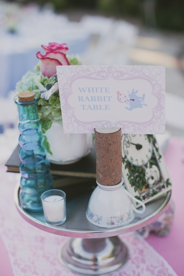 alice-goes-to-disneyland-wedding