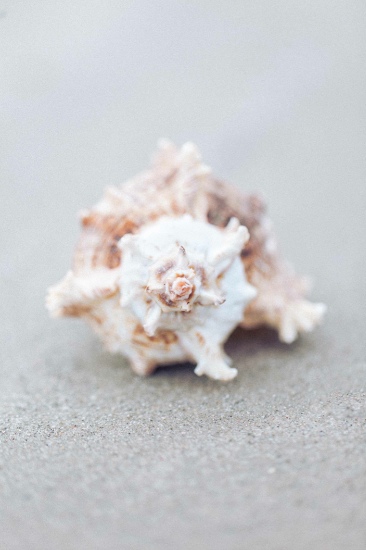 blue-beach-destination-wedding