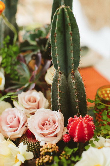 cacti-love-you-wedding-inspiration