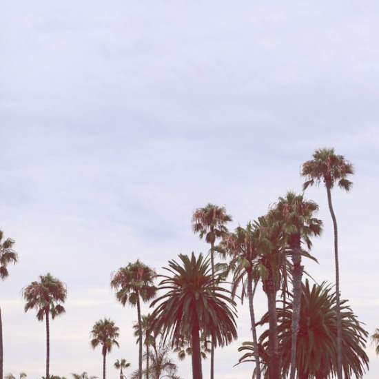 california-coast-wedding-ideas