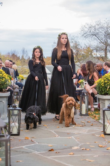 casual-and-elegant-fall-wedding