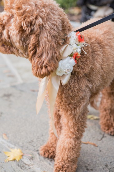 casual-and-elegant-fall-wedding