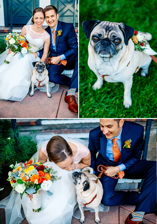 wedding pug love @weddingchicks