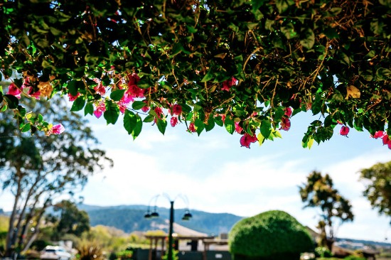 cheerful-wedding-in-carmel