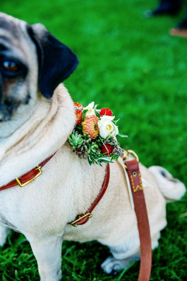cheerful-wedding-in-carmel