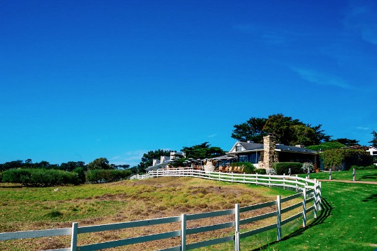 cheerful-wedding-in-carmel