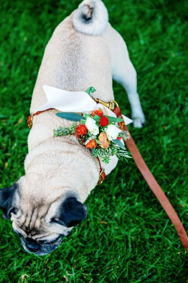 cheerful-wedding-in-carmel