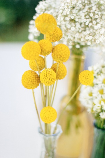 garden-wedding-with-a-preppy-vibe