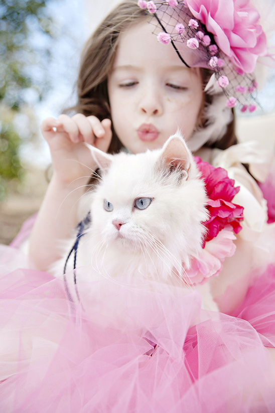 Girl in pink tutu lovingly holds a white Persian cat