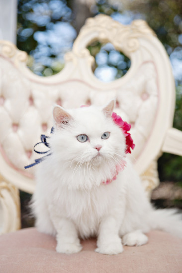 pink-and-gold-athens-wedding