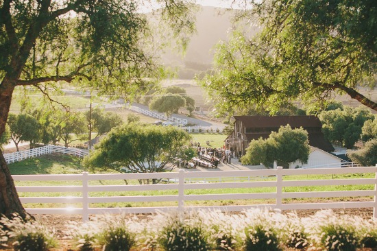 rustic-countryside-wedding