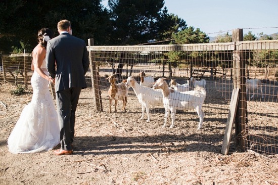 southern-california-hot-pink-wedding