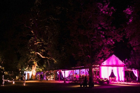 southern-california-hot-pink-wedding