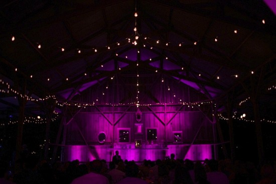 southern-california-hot-pink-wedding