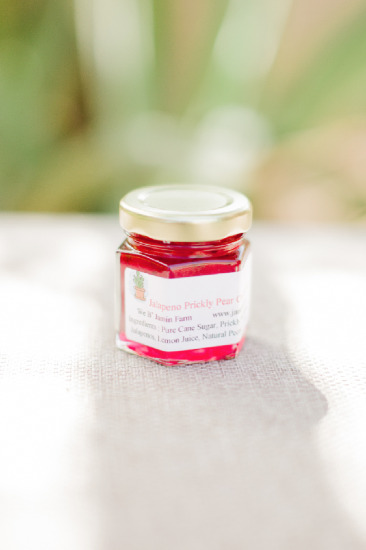 sweet-and-simple-organic-wedding
