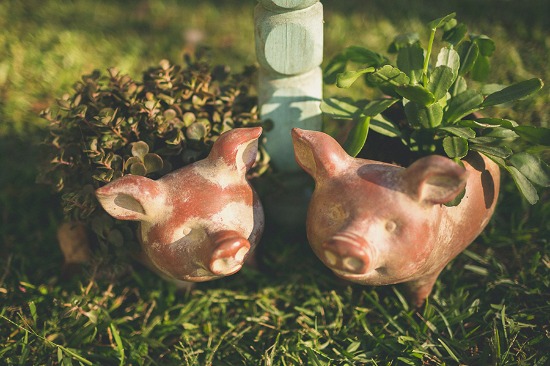 wee-little-piggy-wedding