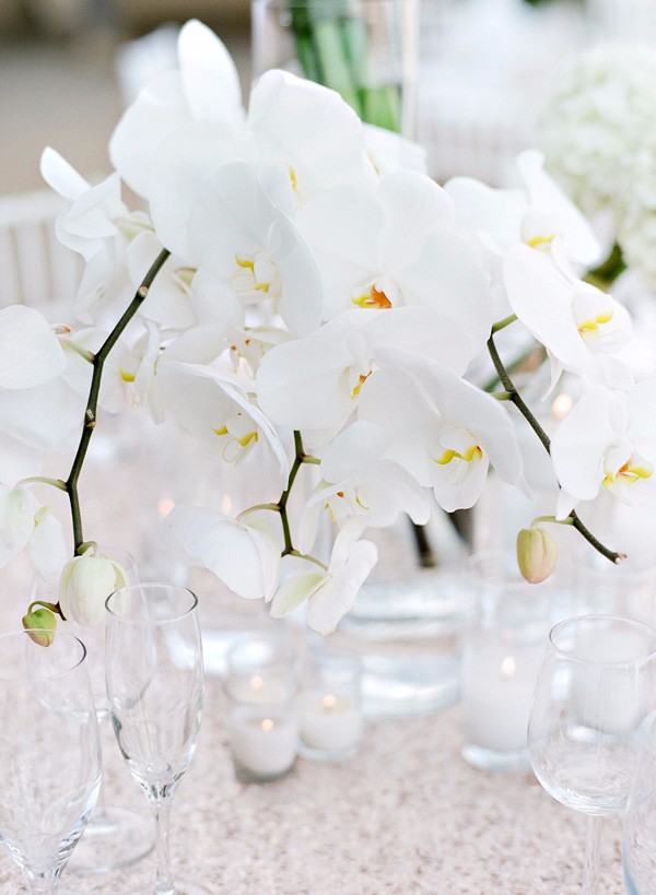 white-gold-and-navy-glam-wedding