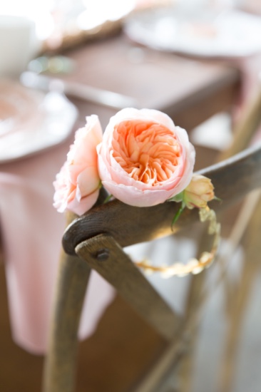 before-the-gown-wedding-ideas