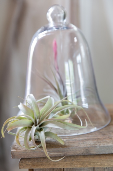 before-the-gown-wedding-ideas