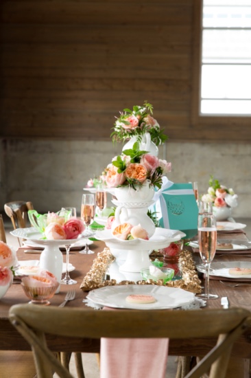 before-the-gown-wedding-ideas
