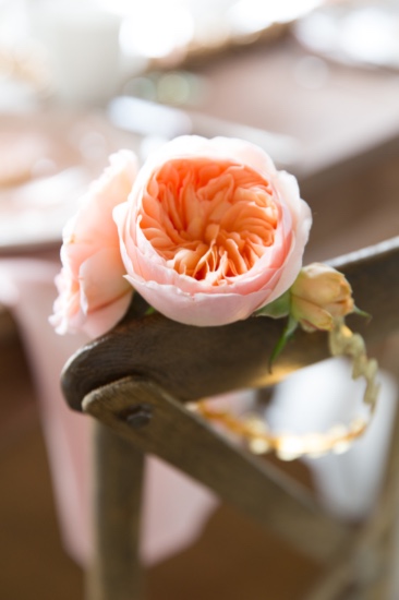 before-the-gown-wedding-ideas