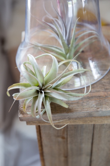 before-the-gown-wedding-ideas