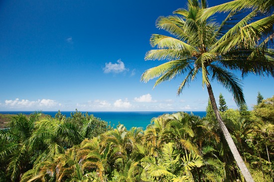 elegant-island-style-wedding